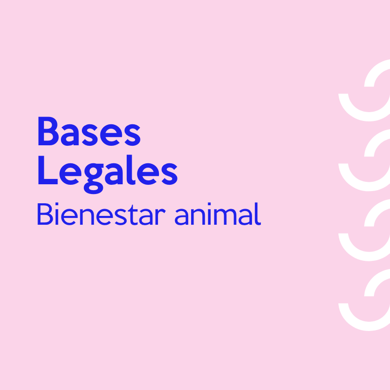 Bases legales “Jornada de Bienestar Animal” de Open Plaza