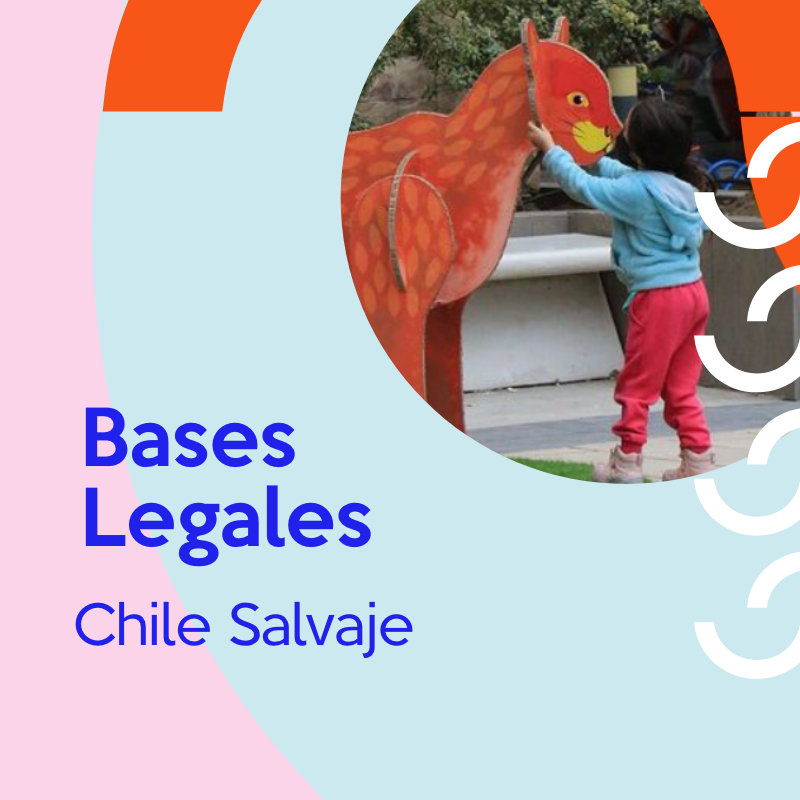 Bases legales “Chile Salvaje ” de Open Plaza