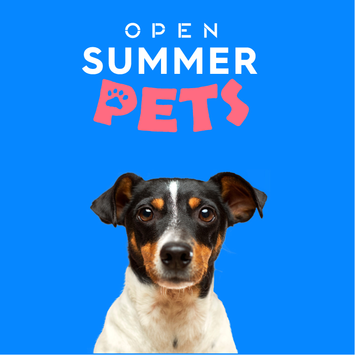 Open Summer Pets