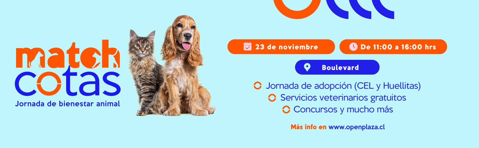 ¡Porque son todo para nosotros! Una jornada de bienestar dedicada a nuestras mascotas.