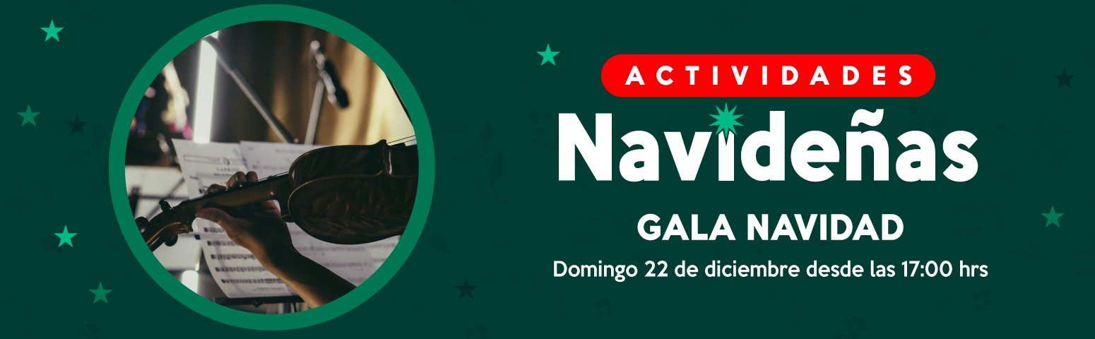 Gala navidad