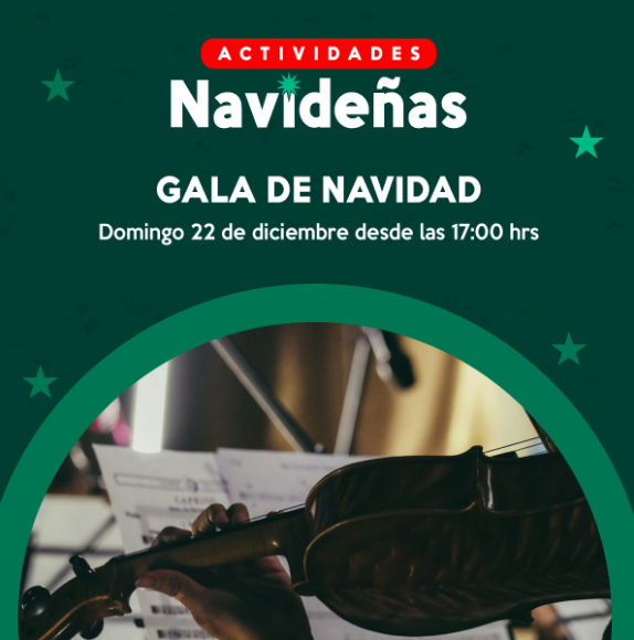 Gala navidad